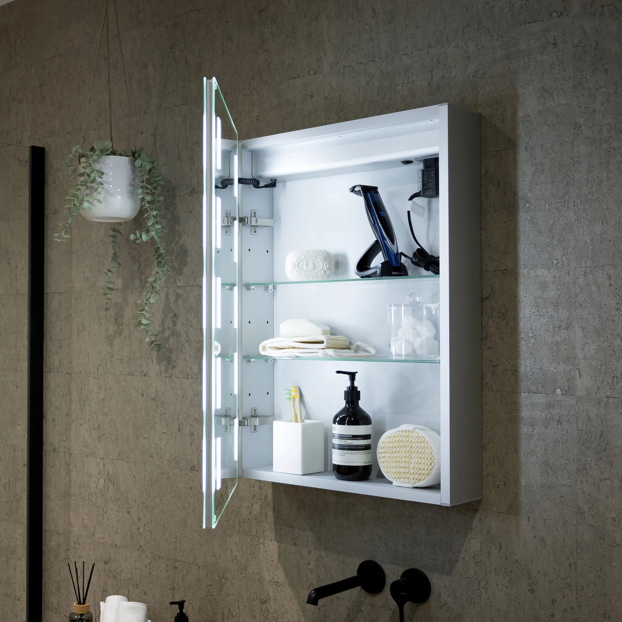 Renee 500x700mm LED Bathroom Mirror Cabinet