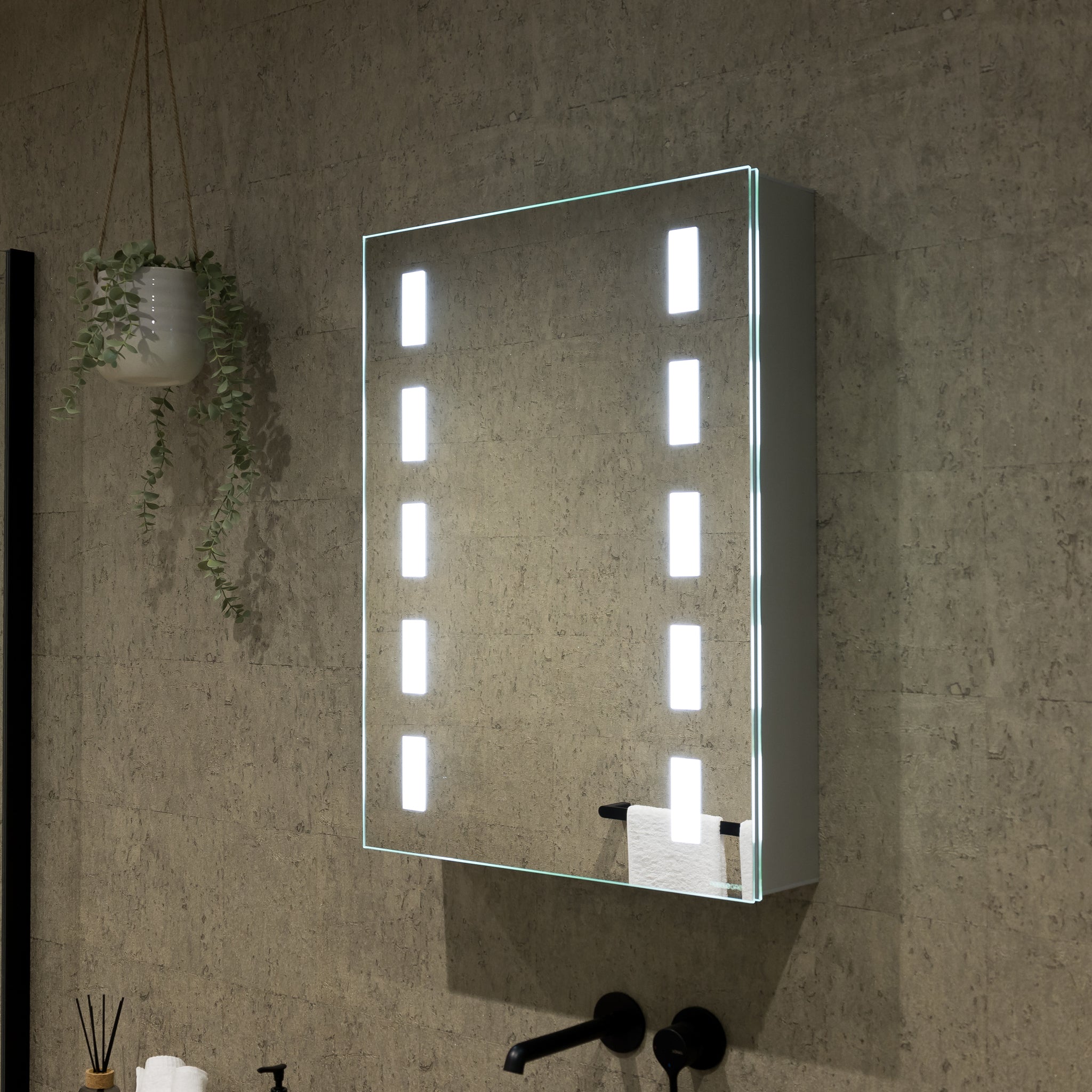 Renee 500x700mm LED Bathroom Mirror Cabinet